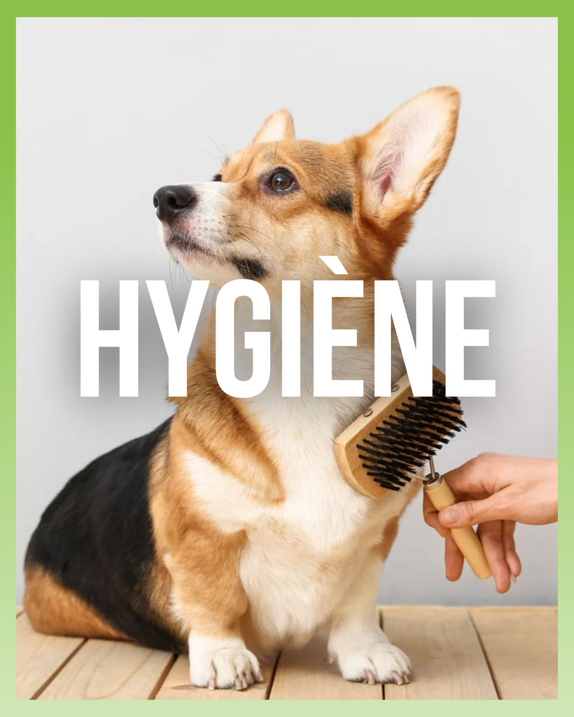 Hygiène