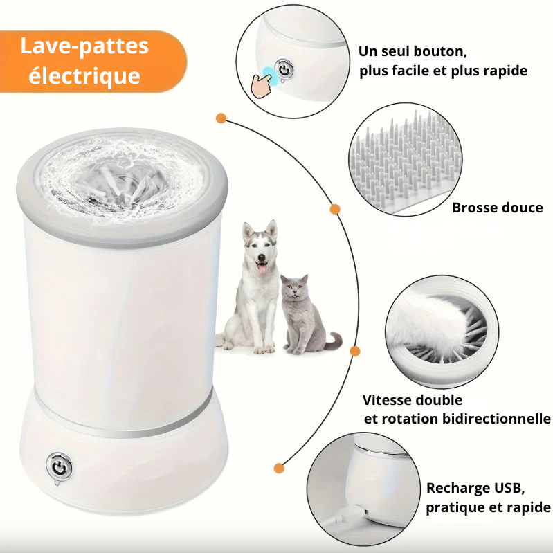 Lave-Pattes Automatique